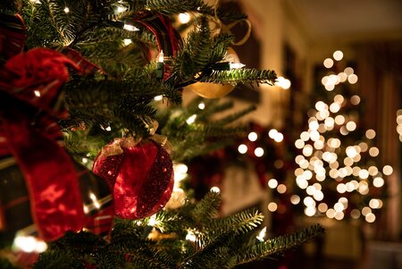 green christmas tree