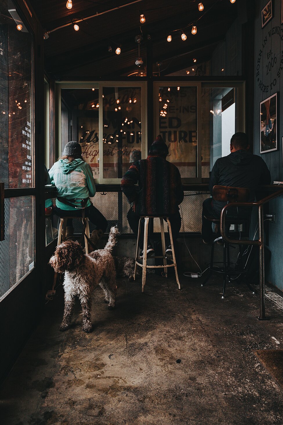 Dogs and people